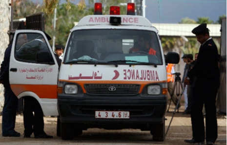 8.4.2010, AV, Persatuan Dokter Arab Kirim 100 Ton Daging Ke Gaza. 4071 Gaza (foto: AV)