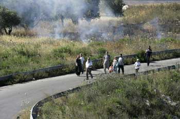 7.5.2010, images_news5_m07_d21_1-1, thawra.alwehda.gov.sy, kebun dibakar Tepi Barat yang dijajah (foto: thawra.alwehda.gov.sy)