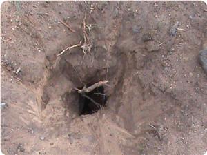 images_News_2010_11_15_aqsa-collapse_300_0