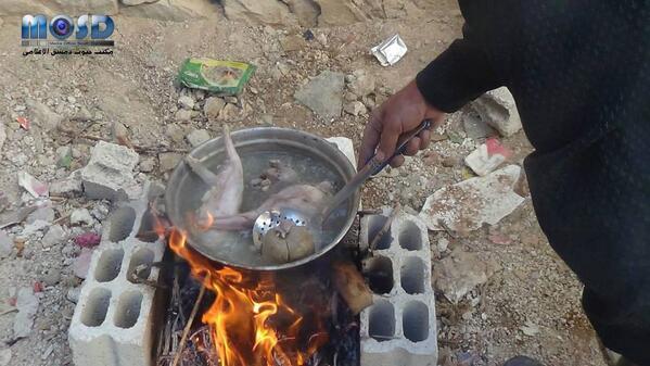 Seorang Ibu Suriah terpaksa merebus kucing jalanan untuk makan malam anak-anaknya. Tempat dan waktu tidak diketahui. Foto: Free Syria Media Hub