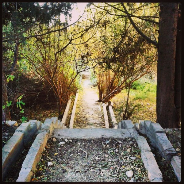 Keluarga terakhir di Desa Wadi al-Siyah menolak pergi meski mendapat surat perintah untuk pergi dari 'Israel'. Desa tersebut akan dijadikan resor wisata alam. Foto: Electronic Intifada