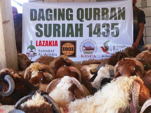 Distribusi daging di Lazakia ini kerja sama Sahabat Al-Aqsha dengan KISPA, HALUAN Malaysia dan dilaksanakan oleh Al-Sarraa Foundation. Foto: Al-Sarraa Foundation