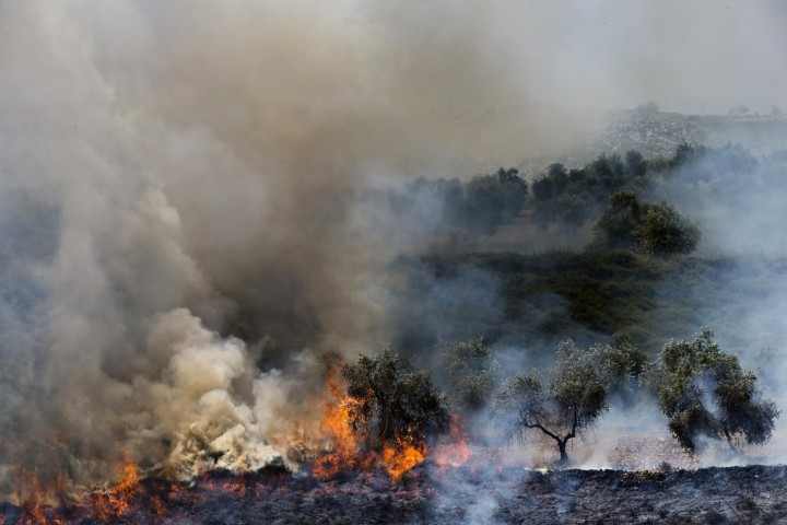 Serangan pembakaran kebun zaitun di dekat permukiman Yahudi Yitzhar di Tepi Barat pada April 2013. Foto: Reuters