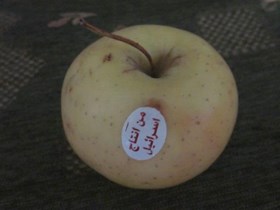 Foto: PIC