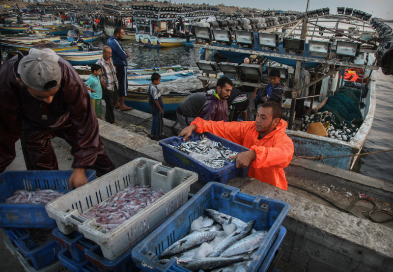 Seperti halnya para petani di Jalur Gaza, nelayan juga bergantung pada bantuan internasional agar bisa bertahan menghadapi blokade di Gaza. Foto: Ezz Zanoun