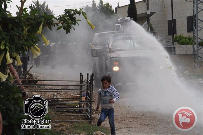 Fotografer Nazzal tengah meliput pawai mingguan Kafr Qaddum pada peringatan Hari Nakba ke-67 pekan lalu. Saat itulah ia menyaksikan Zionis mengejar bocah Palestina dengan cairan berbau busuk. Foto-foto: Ahmad Nazzal
