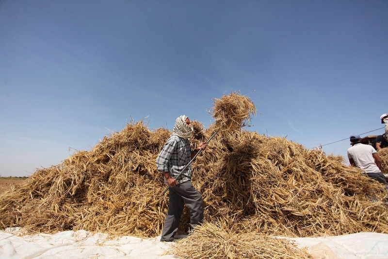 Foto: Middle East Monitor/Mohammad Asad