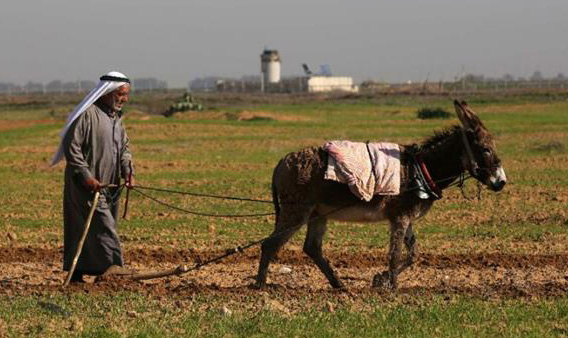 Foto: World Bulletin