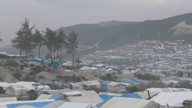 lazakia-01-28-desember-2016