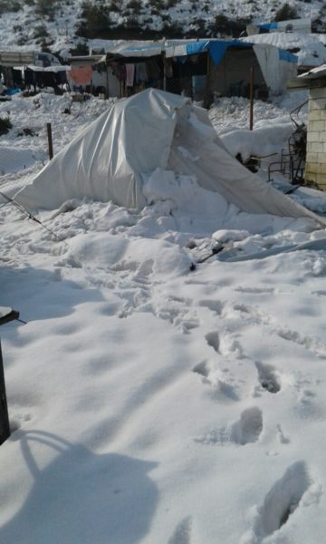 lazakia-04-28-desember-2016