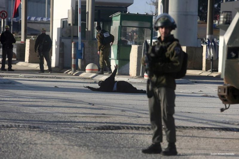 Foto: Issam Rimawi/Anadolu