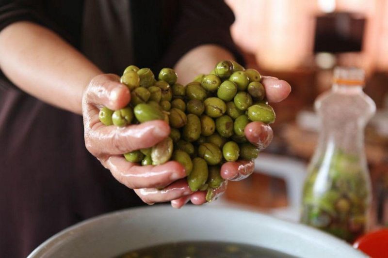 Perusahaan Palestina, Mount of Green Olive, memenangkan medali perak untuk produksi minyak zaitun di sebuah kontes minyak zaitun internasional ternama. Foto: Dokumentasi MEMO
