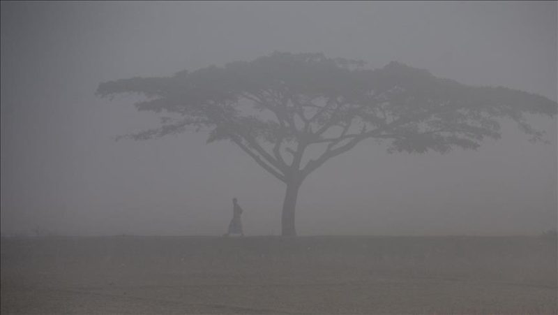 Ilustrasi foto: Anadolu Agency