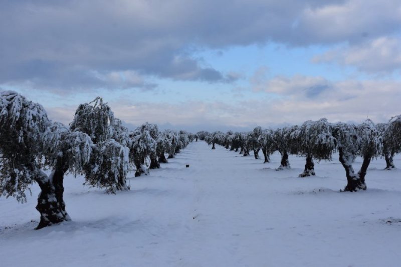 Foto: Ömer Koparan - Anadolu Agency