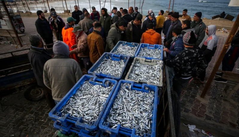 Ikan dipajang di pasar ikan setelah para nelayan Palestina kembali dari perjalanan memancing di Kota Gaza, Gaza, pada 16 Februari 2022 [Ali Jadallah - Anadolu Agency]