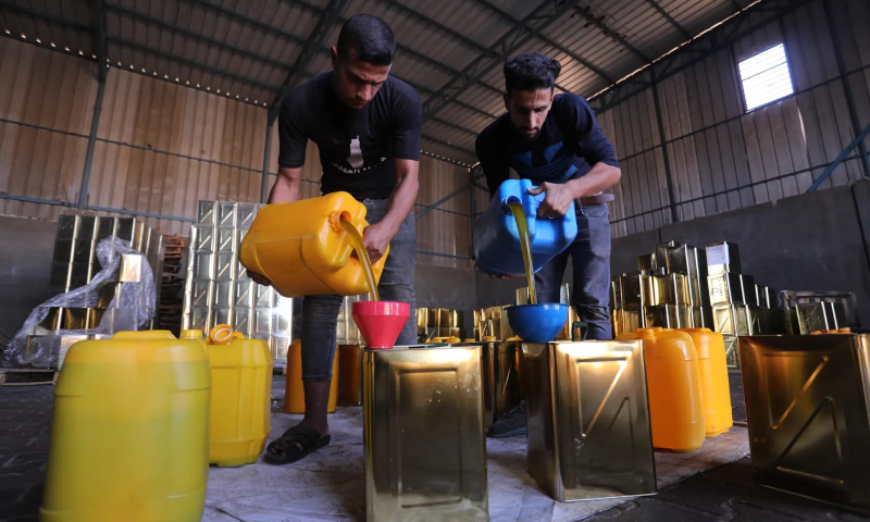 Pekerja Palestina sedang menyaring minyak zaitun di Khan Yunis, Jalur Gaza, 7 November 2022. Foto: Ashraf Amra/Anadolu Agency